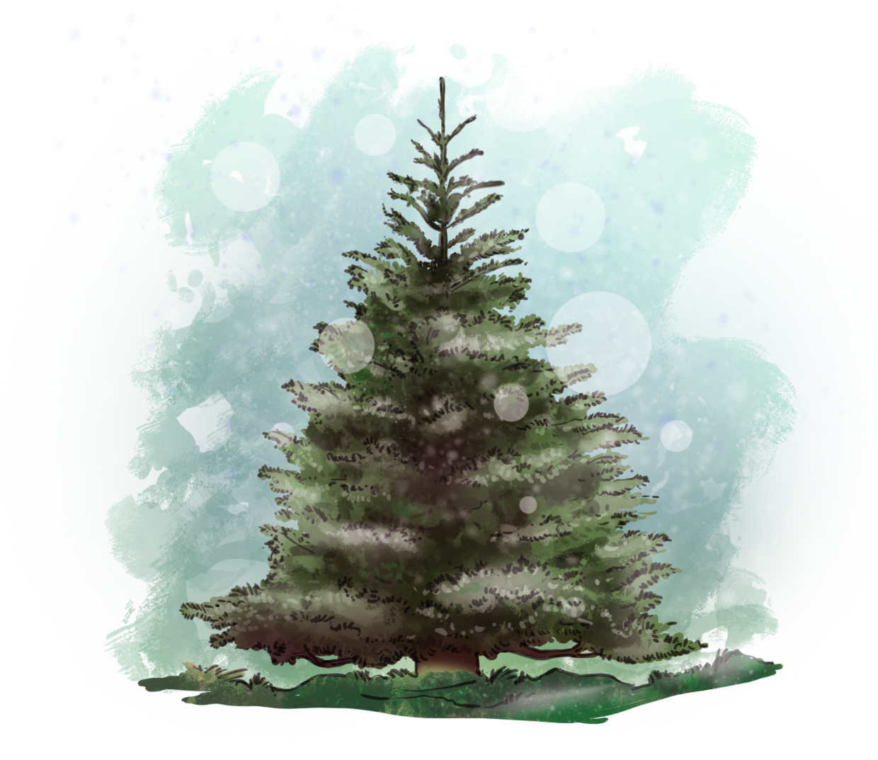 sapin