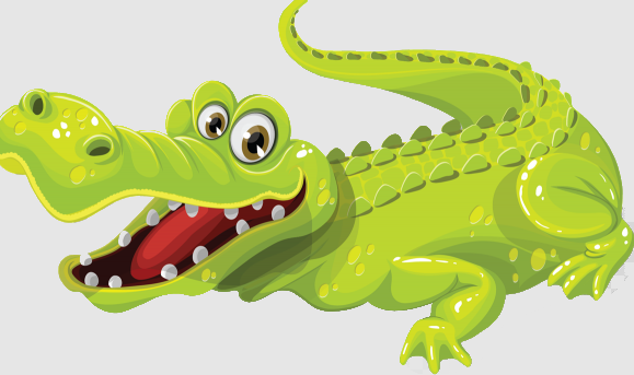 un crocodile femelle