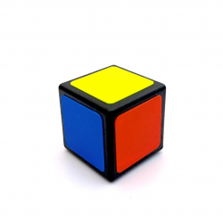 1x1 1x1