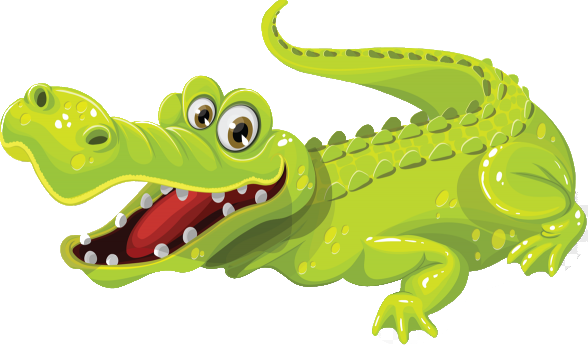 un crocodile femelle